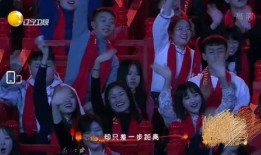 辽宁春晚爆料视频大全最新,精彩瞬间回顾，笑点泪点齐飞